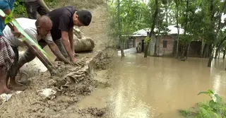 স্রোতের তোড়ে ডুবছে সিলেটের গ্রাম, স্থানীয়দের দুর্ভোগ